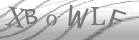 captcha-6